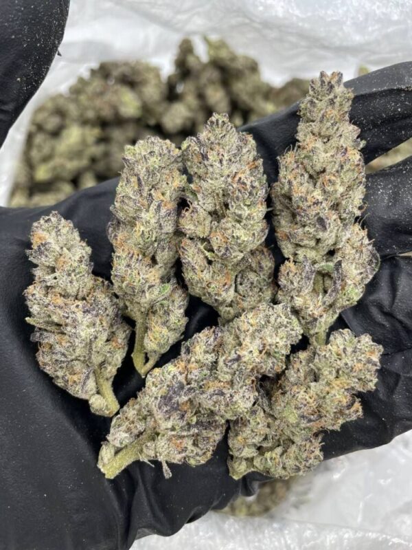 laffy taffy strain