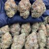 white cherry runtz strain
