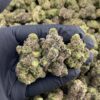 bubble gum runtz strain