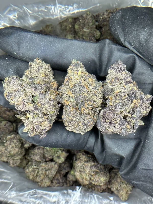 cherry gumbo strain