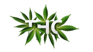 hightribeshop.com
