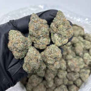 supreme diesel strain