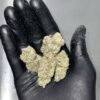 white nerds strain
