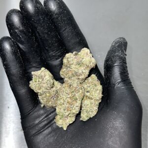 white nerds strain