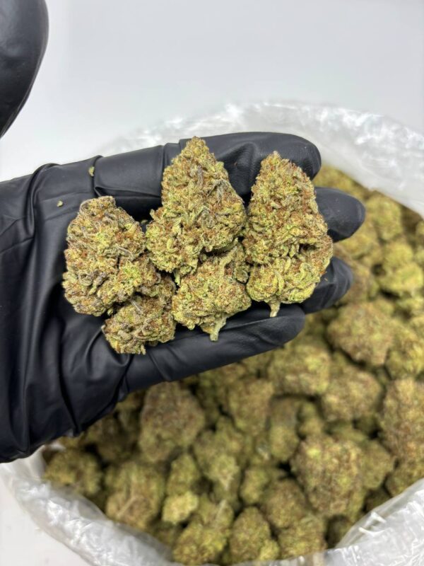 guava gelato strain