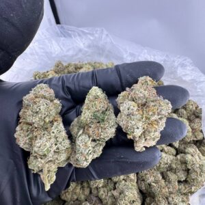 tropical runtz strain