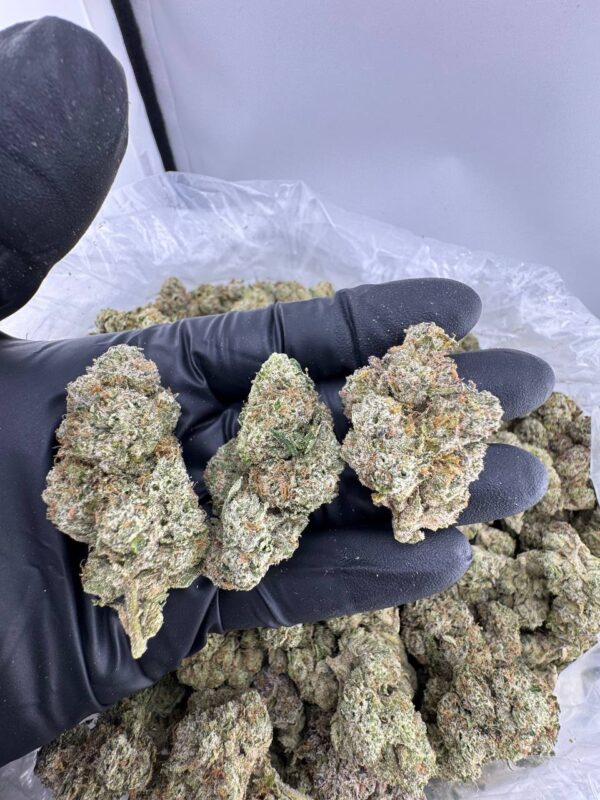 tropical runtz strain