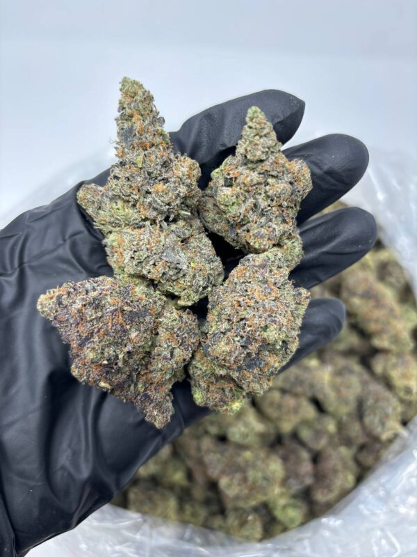 pineapple punch strain